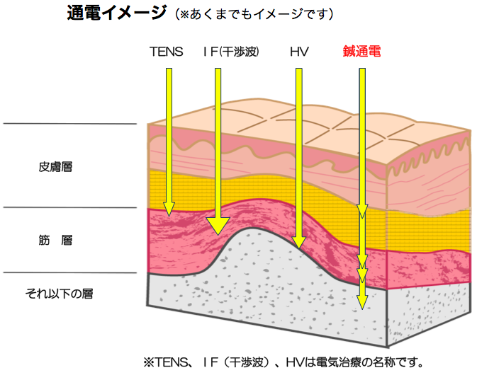 まるすず鍼灸マッサージ接骨院
