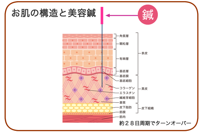 まるすず鍼灸マッサージ接骨院