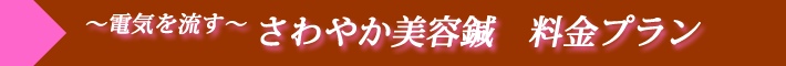 料金プラン