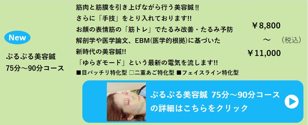まるすず鍼灸マッサージ接骨院　ぷるぷる美容鍼